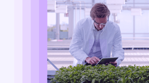 Grocery-feature-card-1