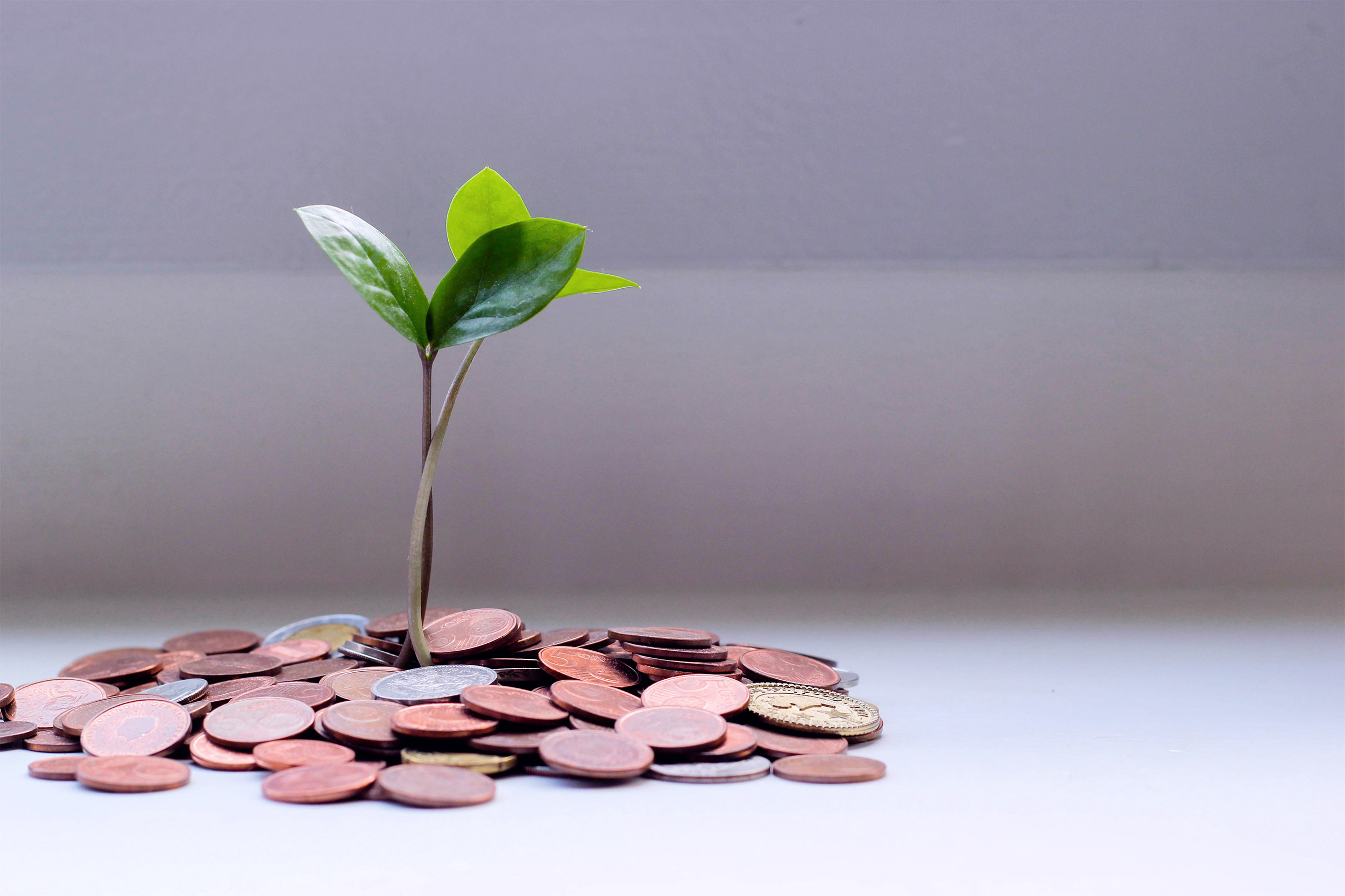 Who pays to decarbonize your supply chain?
